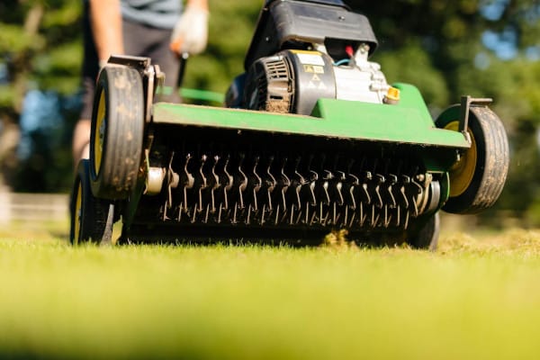 Info centre - scarifying a lawn