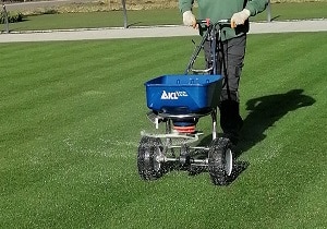 Info Centre - Fertilising medallion turf
