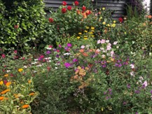 Blog - flower border