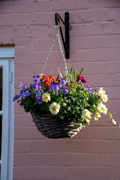 Info Centre - Hanging basket