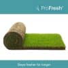 Medallion turf roll