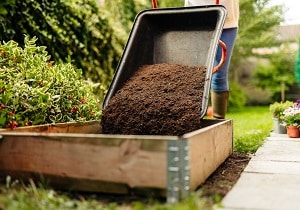 Product Images - raised bed planter with barrow