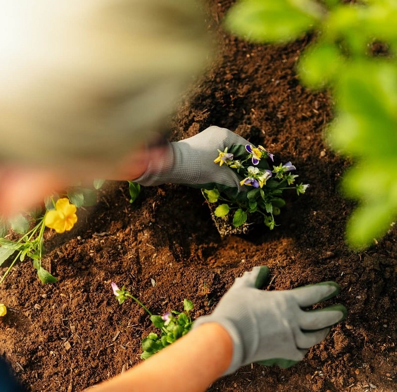 Topsoil for Raised Beds, Borders & Planters BS3882 Rolawn