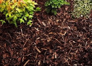 Uncategorised - Rolawn landscaping bark