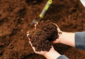 Product Images - Rolawn lawn and seeding topsoil in bare hands 2