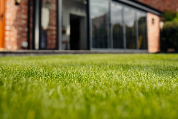 Lifestyle - Rolawn Medallion Turf