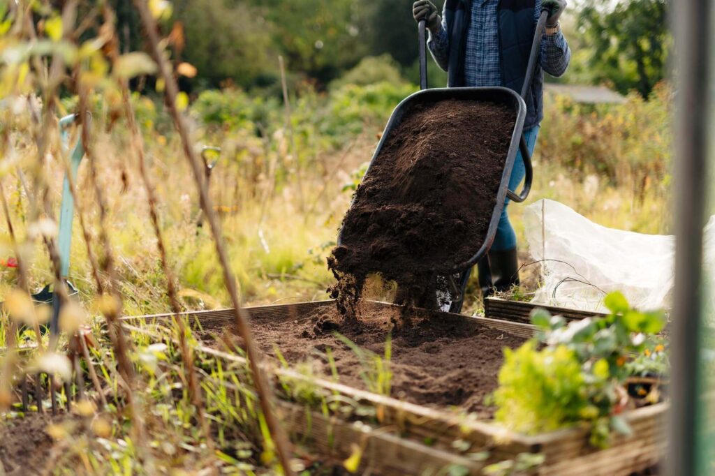 Product Images - Rolawn veg and fruit topsoil barrowed into raised bed