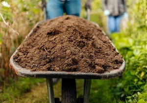 Product Images - Rolawn Vegetable & Fruit Topsoil barrowed up path