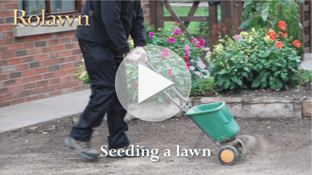 Info centre - seeding a lawn video
