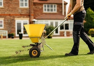 Info Centre - Topdressing a lawn