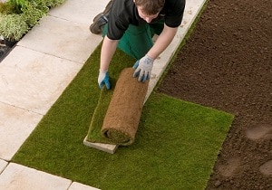 Information and Advice - Lawncare - when to lay turf