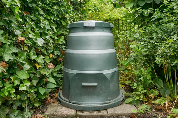 Blog - compost bin