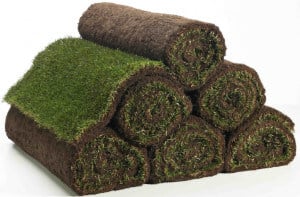 Rolls of Turf - Fresher with Profresh