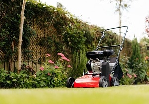 Scarifier on Rolawn Medallion Turf