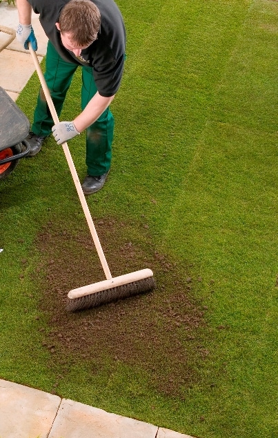 Info centre - topdressing your lawn