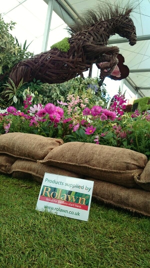 News - Royal British Legion RHS Chelsea Flower Show