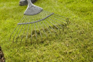 Info centre - raking out thatch