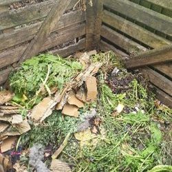 Blog - starting a compost heap