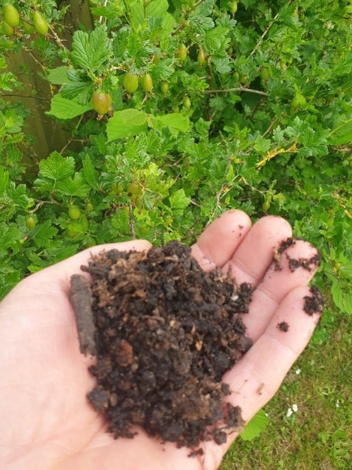 Blog - well rotted compost