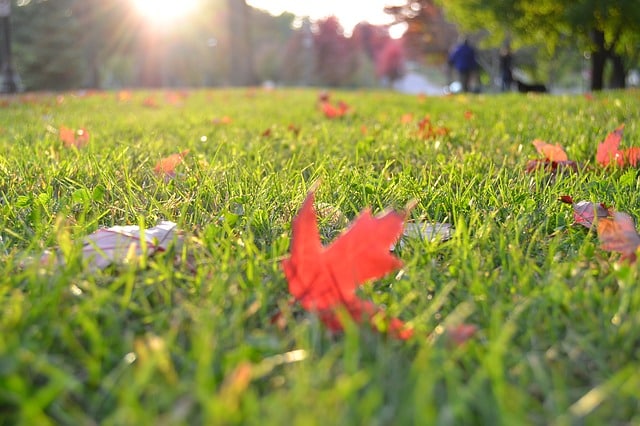 Info centre - autumn