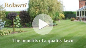 Video thumbnails - benefits of quality lawn