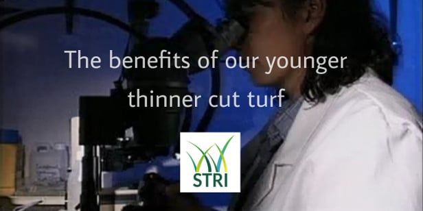 Video Thumbnails - benefits of younger turf