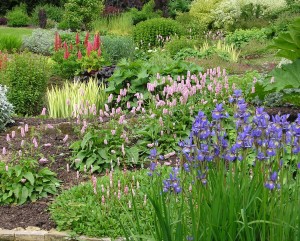 Blog - border topsoil