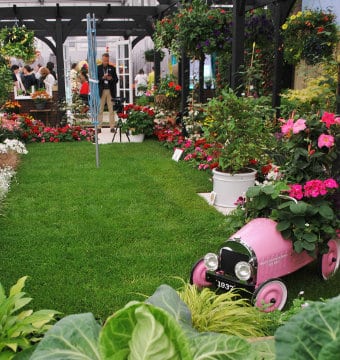 News - Peter Seabrook's show garden RHS Chelsea 2017