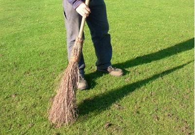 Info centre - Earthworms in your lawn