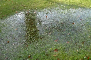 Blog - flooded lawn