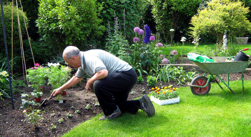Blog - gardeneering