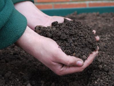 Products - hands holding Rolawn topsoil