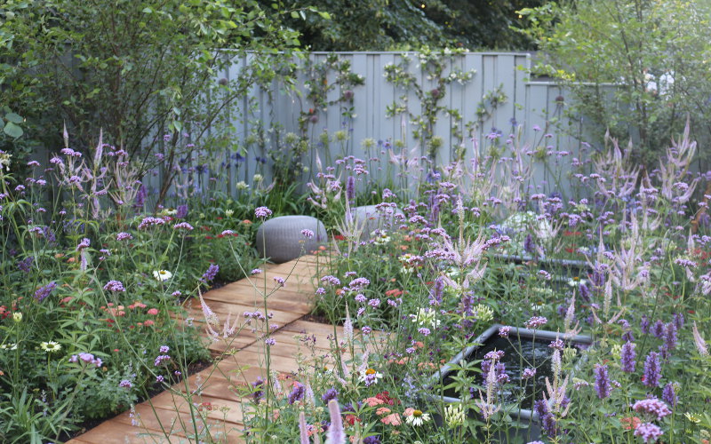 News - RHS Hampton Court