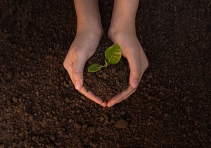 Info Centre - Soil in hands