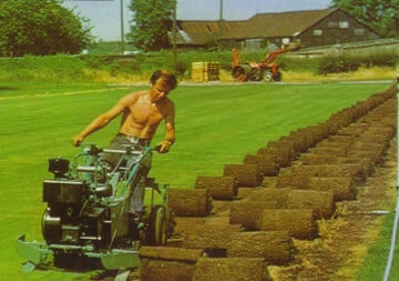 Turf being harvested in 1982