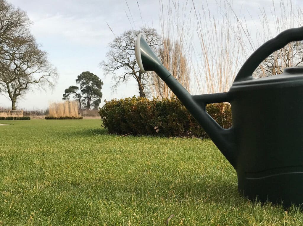 Info centre - lawn care watering turf