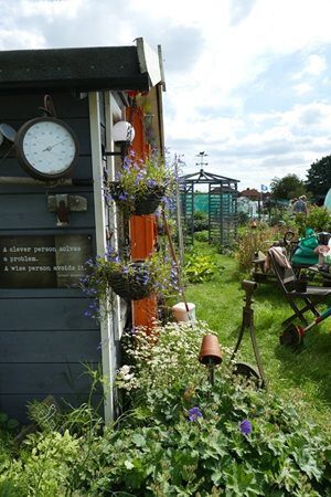 Uncategorised - the allotment experience and all it has to offer