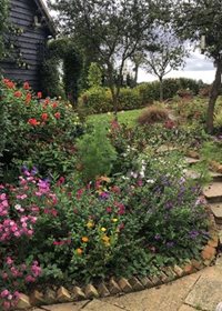 Blogs - Nicky's garden 1