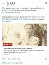 Blogs - Olive Harrison