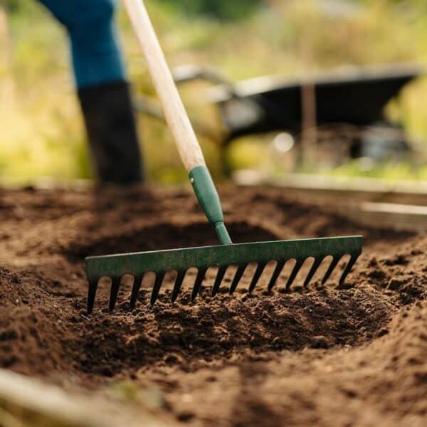 Rolawn Vegetable & Fruit Topsoil