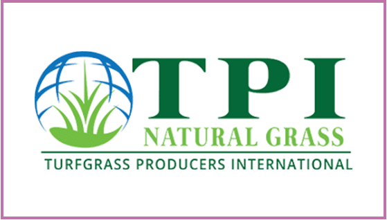 Uncategorised - TPI logo