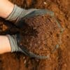Product Images - Turf & Seeding Topsoil