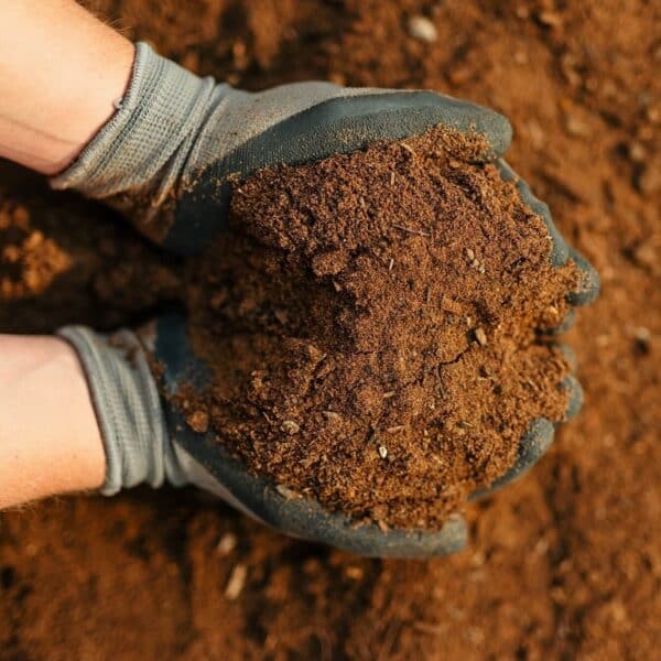 Product Images - Turf & Seeding Topsoil