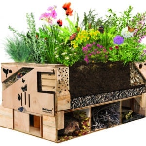 NatureArk cut-through