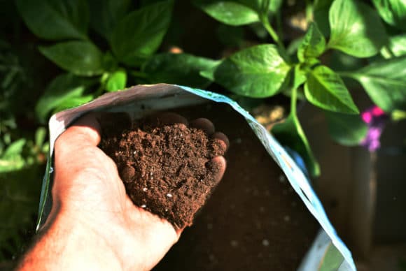 Small bag of topsoil