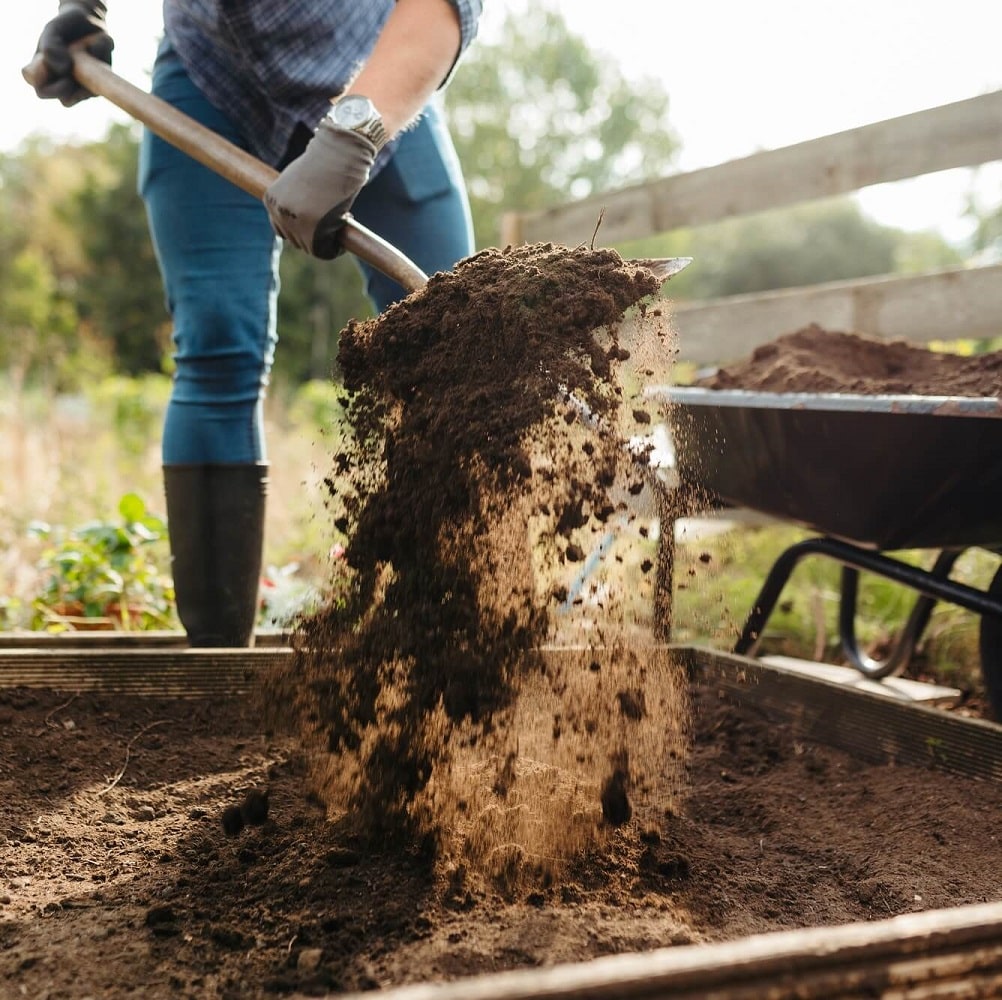 Rolawn Vegetable & Fruit Topsoil shovelled from barrow into raised bed