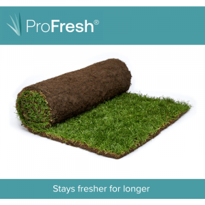 Rolawn Medallion Turf roll treated with ProFresh