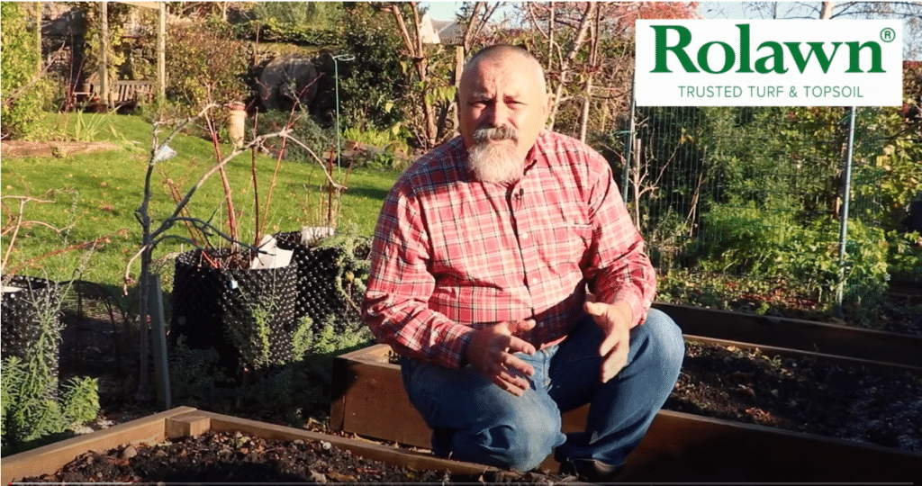 David Hurrion Raised Beds Thumbnail