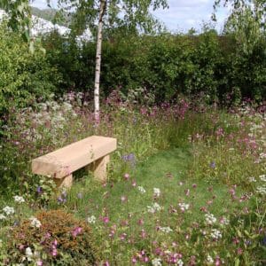 Landscape 34 Wildflower Turf from Rolawn - weed suppressing hay meadow turf