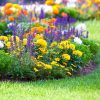Rolawn Beds & Borders Topsoil with controlled release fertiliser for beautiful, vibrant and healthy flowers and plants. British Standard Safe Top Soil